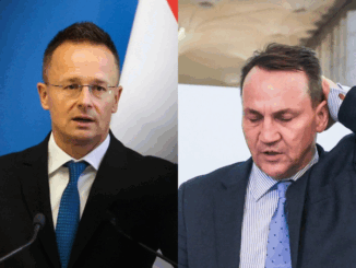 niezależny dziennik polityczny