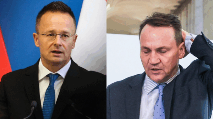 niezależny dziennik polityczny