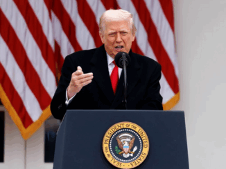 niezależny dziennik polityczny