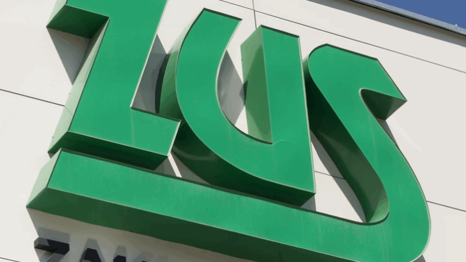 niezależny dziennik polityczny