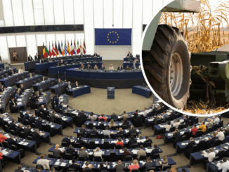 niezależny dziennik polityczny