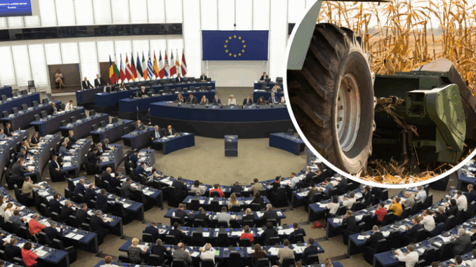 niezależny dziennik polityczny