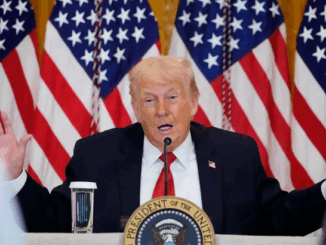 niezależny dziennik polityczny