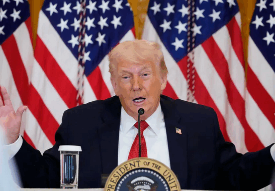 niezależny dziennik polityczny