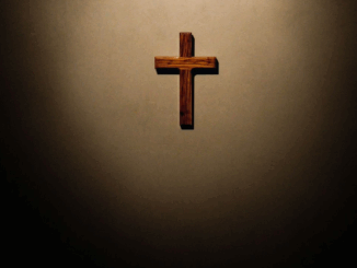 niezależny dziennik polityczny