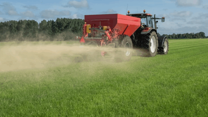 niezależny dziennik polityczny