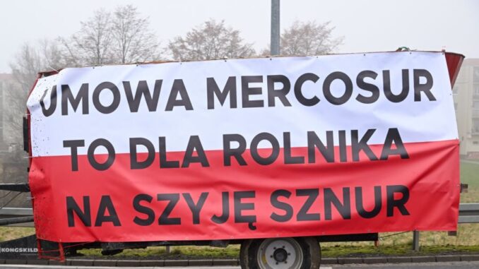 niezależny dziennik polityczny danuta