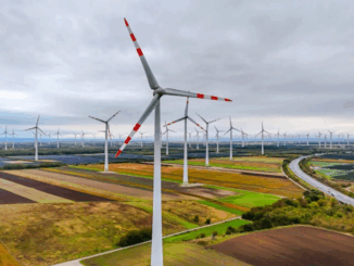 niezależny dziennik polityczny