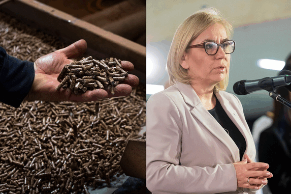 niezależny dziennik polityczny