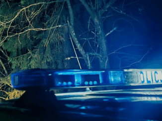 niezależny dziennik polityczny