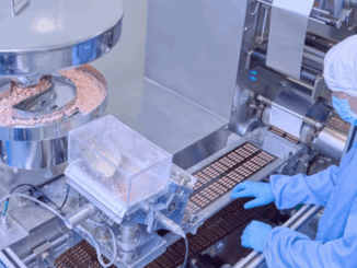 niezależny dziennik polityczny