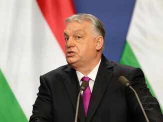 niezależny dziennik polityczny