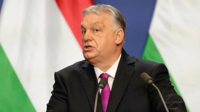 niezależny dziennik polityczny