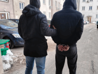 niezależny dziennik polityczny