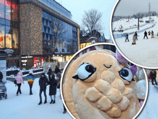 niezależny dziennik polityczny