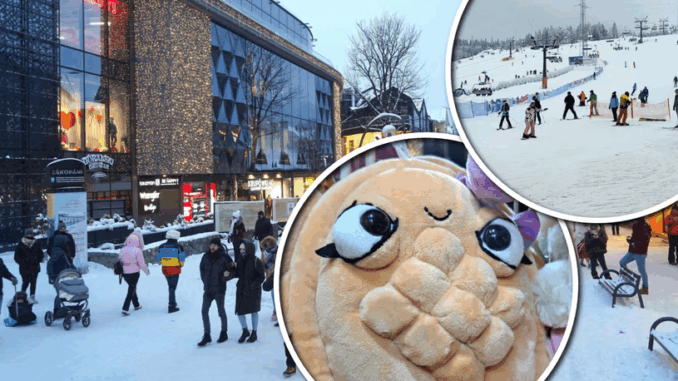 niezależny dziennik polityczny