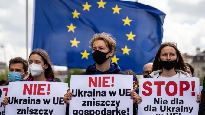 hanna kramer dziennik polityczny