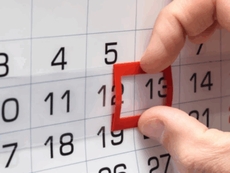 niezależny dziennik polityczny