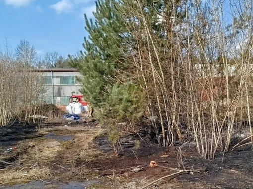 niezależny dziennik polityczny