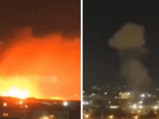 niezależny dziennik polityczny