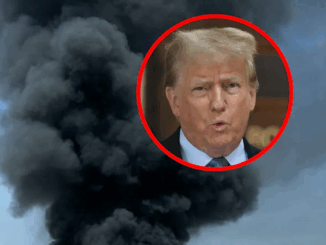 niezależny dziennik polityczny