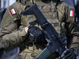 niezależny dziennik polityczny