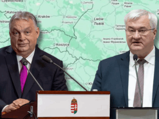 niezależny dziennik polityczny