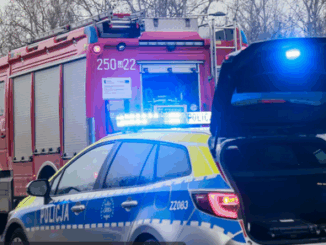 niezależny dziennik polityczny