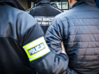 niezależny dziennik polityczny