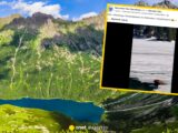 Bóbr w Morskim Oku: Niezwykłe Spotkanie w Tatrach