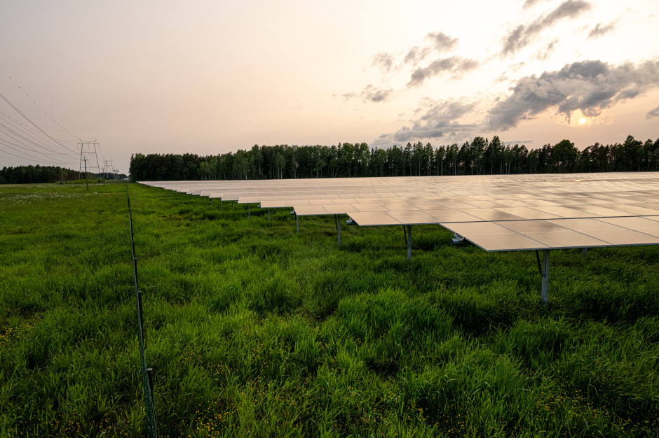 Polskie instalacje OZE zmagają się z coraz częstszym ograniczaniem produkcji