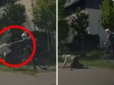 Dramatyczny Atak na 80-latkę We Wrocławiu: Rowerzysta Uderza i Ucieka