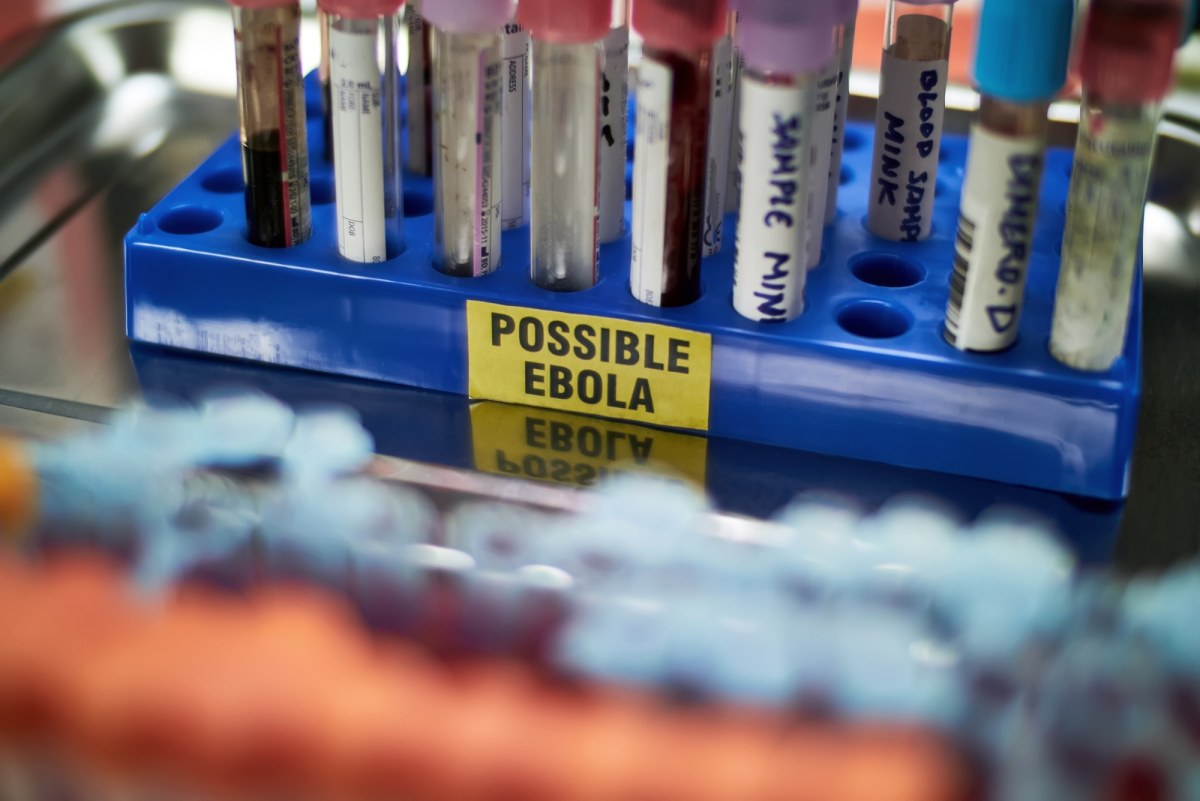 Ebola w Demokratycznej Republice Konga: Narastający Kryzys Epidemiologiczny