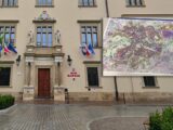 Nowy Plan dla Krakowa: Kontrowersje wokół Przyszłości Podmiejskich Terenów