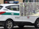Zatrzymania na polsko-litewskiej granicy: Migranci i Polak z dużą sumą gotówki