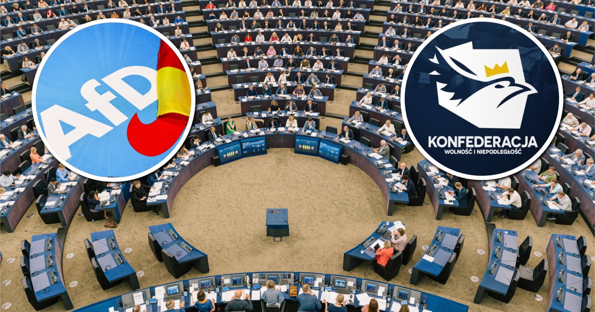 Radykalna Partia ESN Grozi Delegalizacja za Naruszenie Wartości UE