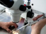Kontrowersje wokół podziału funduszy na in vitro: Kliniki apelują o transparentność