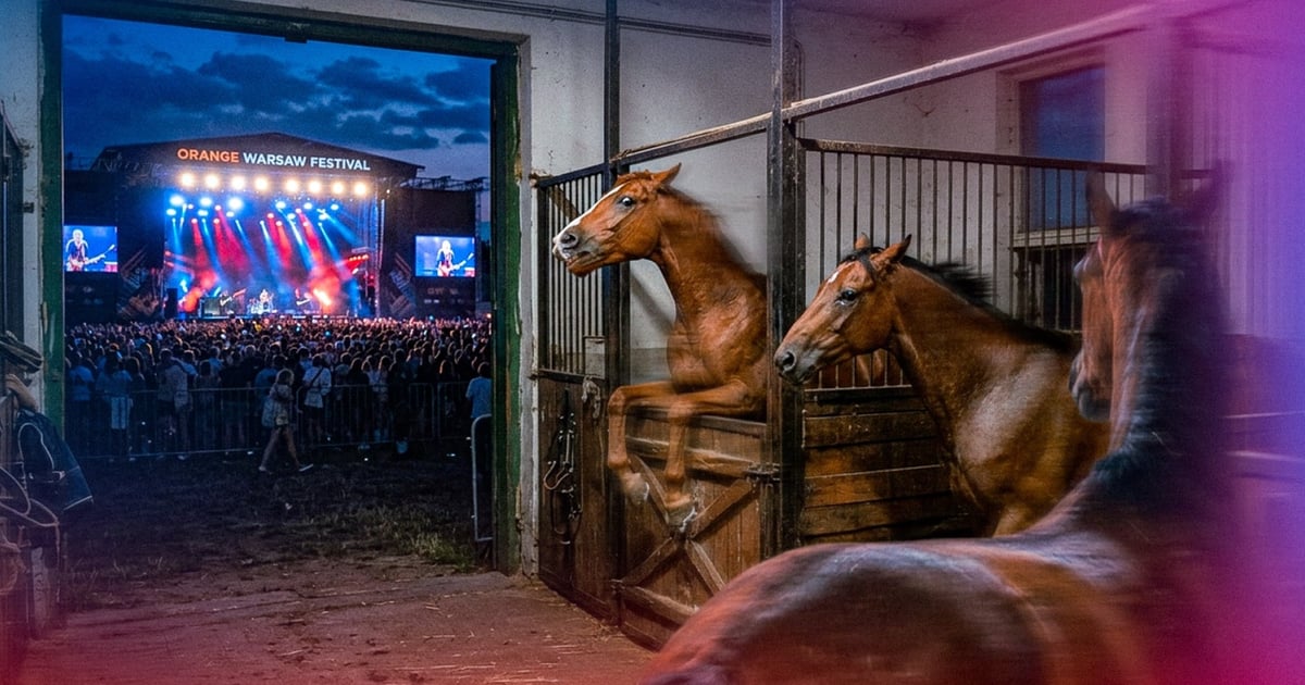 Głośne festiwale muzyczne na warszawskim torze wyścigów: problem dla koni