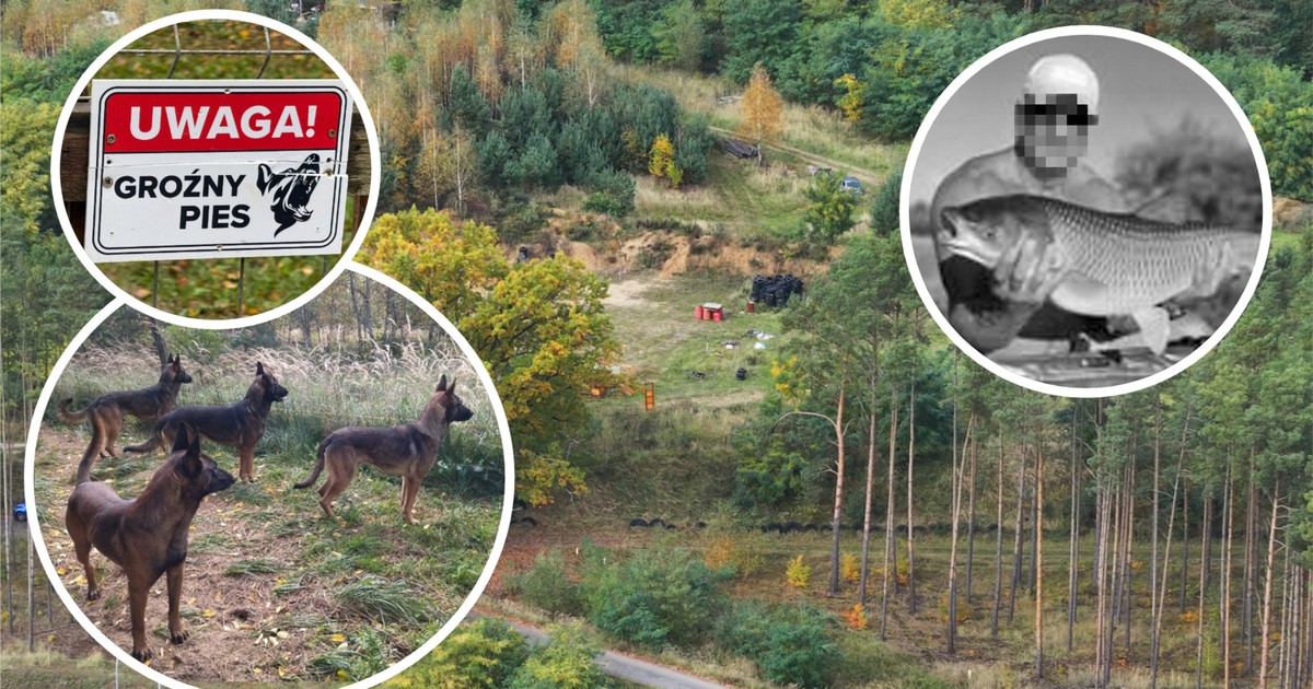 Dramatyczny Atak Psów: Prokuratura Wyciąga Wnioski z Tragedii pod Zieloną Górą