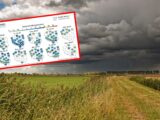 Burzowe dni i fala upałów: alerty pogodowe w Polsce