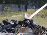 Tragedia na Bemowie: prokuratura ustala tożsamość ofiar katastrofy awionetkowej