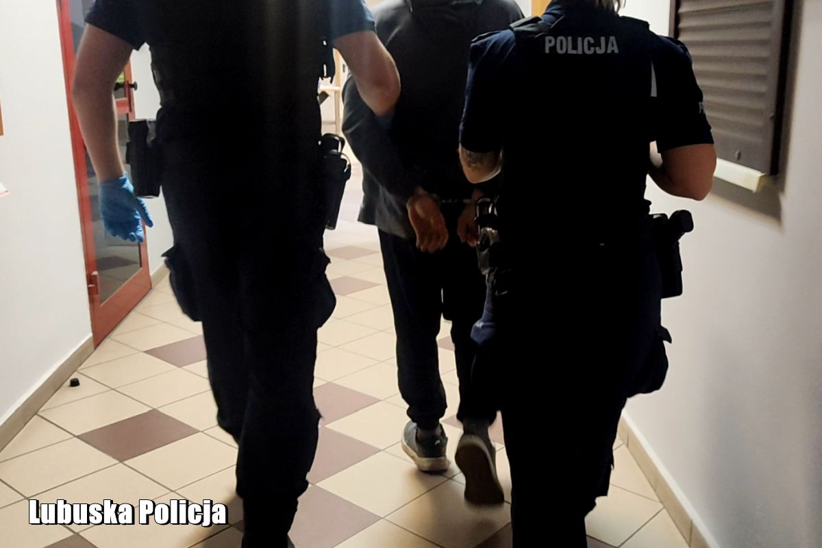 Dramatyczne chwile w pociągu Leszno-Głogów: atak pasażera na kierowniczkę pociągu