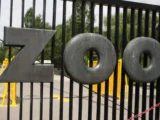 Kontrowersje wokół zakupu siana dla warszawskiego zoo