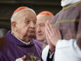 Kontrowersje wokół postawy kardynała Dziwisza w sprawie nadużyć