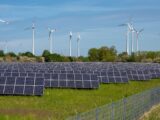 Rekordowa Redukcja Energii Odnawialnej w Polsce