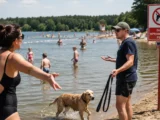 Pies na plaży – prawa i obowiązki dla właścicieli
