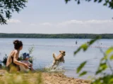 Psy na plaży – gdzie możemy z nimi odpoczywać zgodnie z prawem?