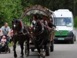 Kontrola koni pracujących na trasie do Morskiego Oka: wyniki badań