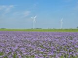 Pierwsza w Polsce farma wiatrowa w systemie bilansującym