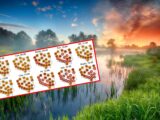 Powrót upałów w Polsce: Burze i ochłodzenie nie utrzymają się długo